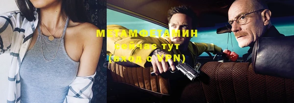 гидра Козловка