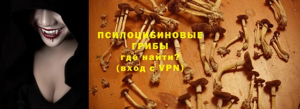 гидра Козловка