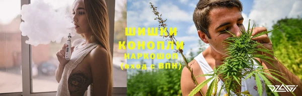 гидра Козловка