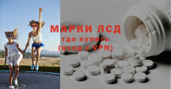 прущие грибы Козельск