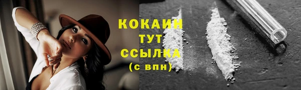 гидра Козловка