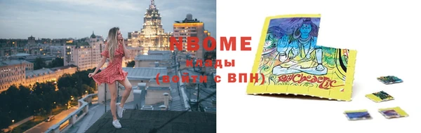 прущие грибы Козельск