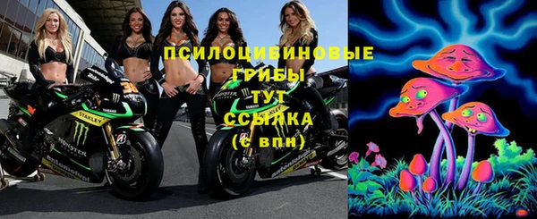 гидра Козловка