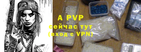 прущие грибы Козельск