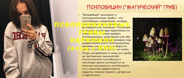 прущие грибы Козельск