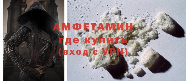 прущие грибы Козельск