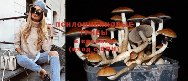 прущая мука Кодинск