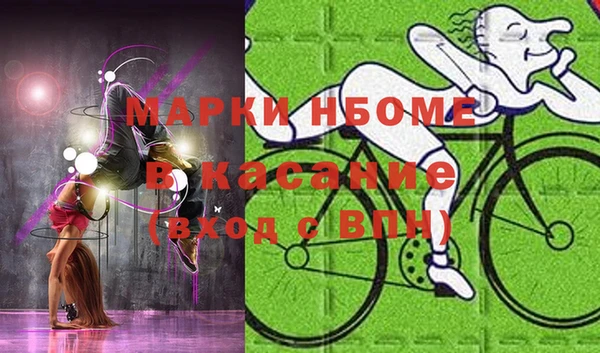 прущие грибы Козельск