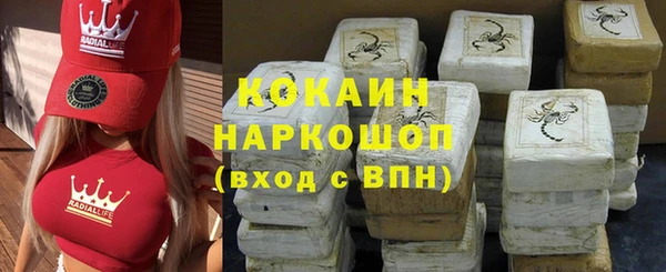 прущие грибы Козельск
