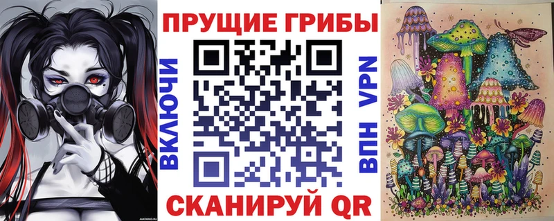 Псилоцибиновые грибы GOLDEN TEACHER  Купить  Кольчугино 